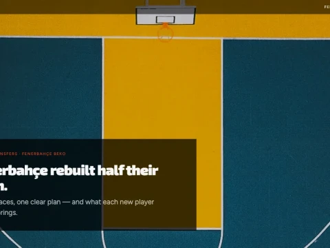 Fenerbah&ccedil;e rebuilt half their team this summer. Here's what each new player brings.